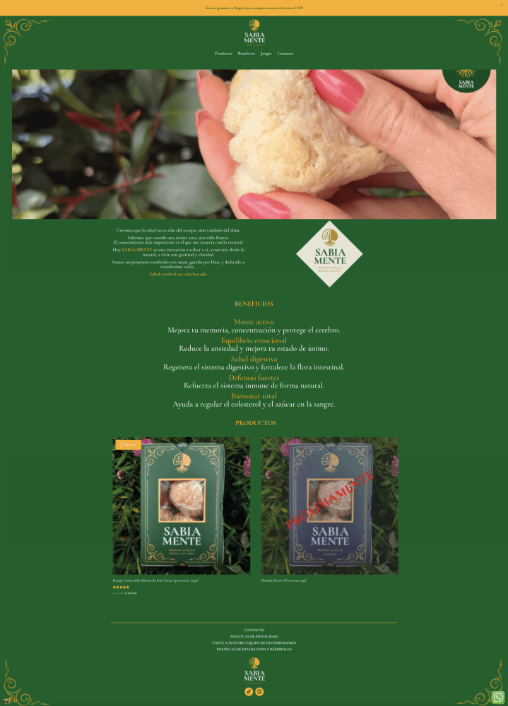 Página-web-profesional-Diseñada-por-TeamGrow